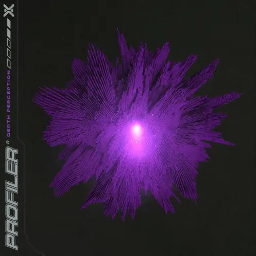 Profiler : Depth Perception